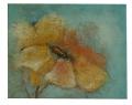 Detail produktu - Obraz - olej na plátně - zimní květina - 50x40 cm